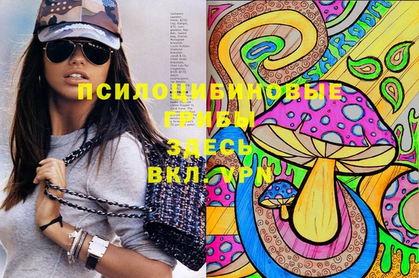 соль ск Вязьма