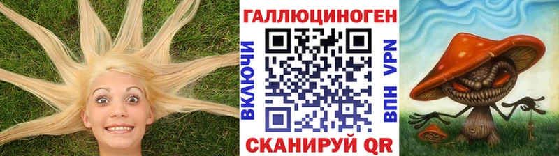 где можно купить Якутск Галлюциногенные грибы Magic Shrooms